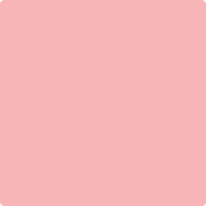 2009-50 Fashion Pink