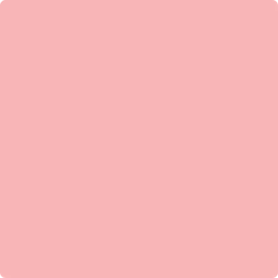 2009-50 Fashion Pink