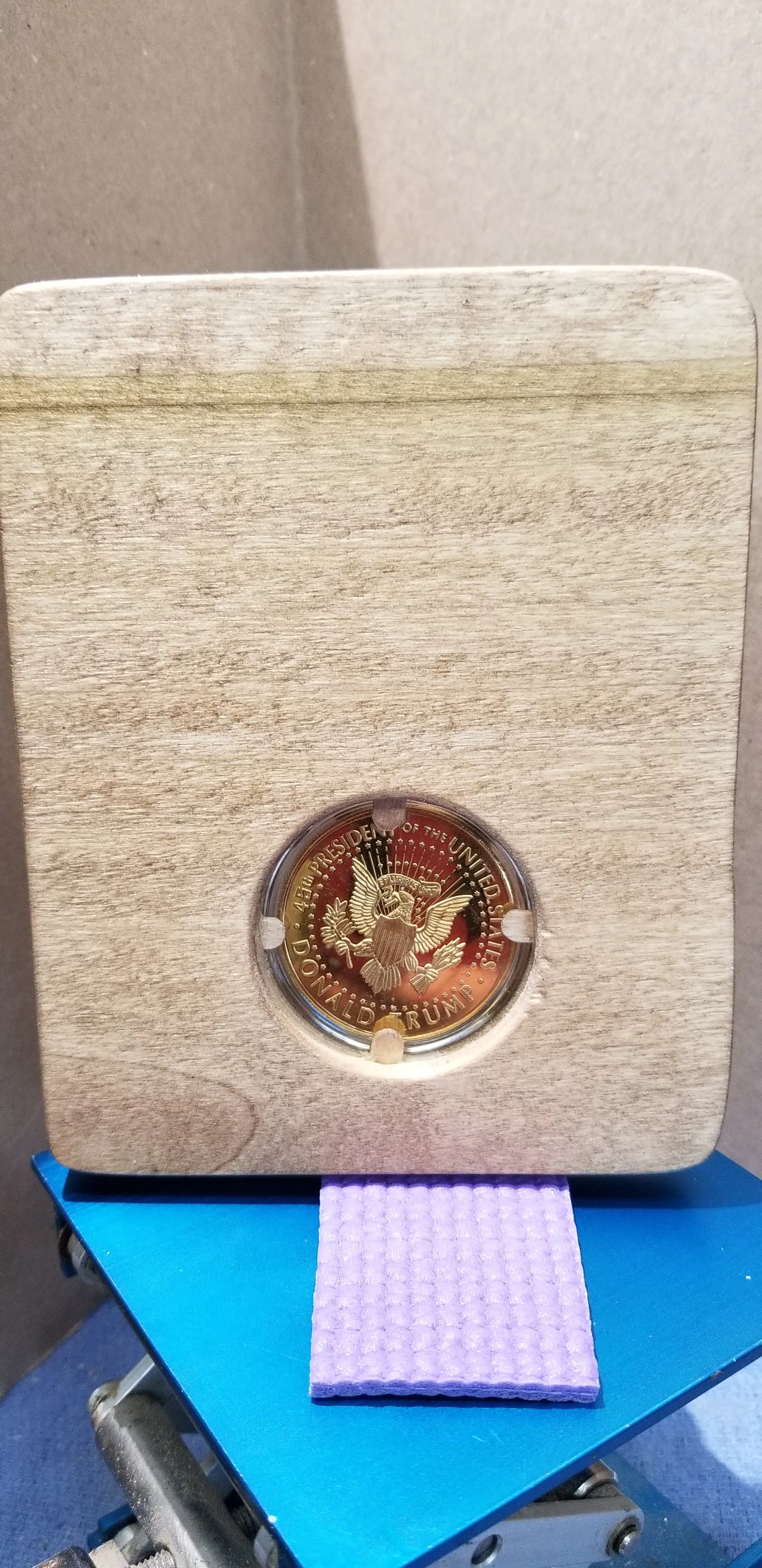 2018 Trump Dollar Display Art