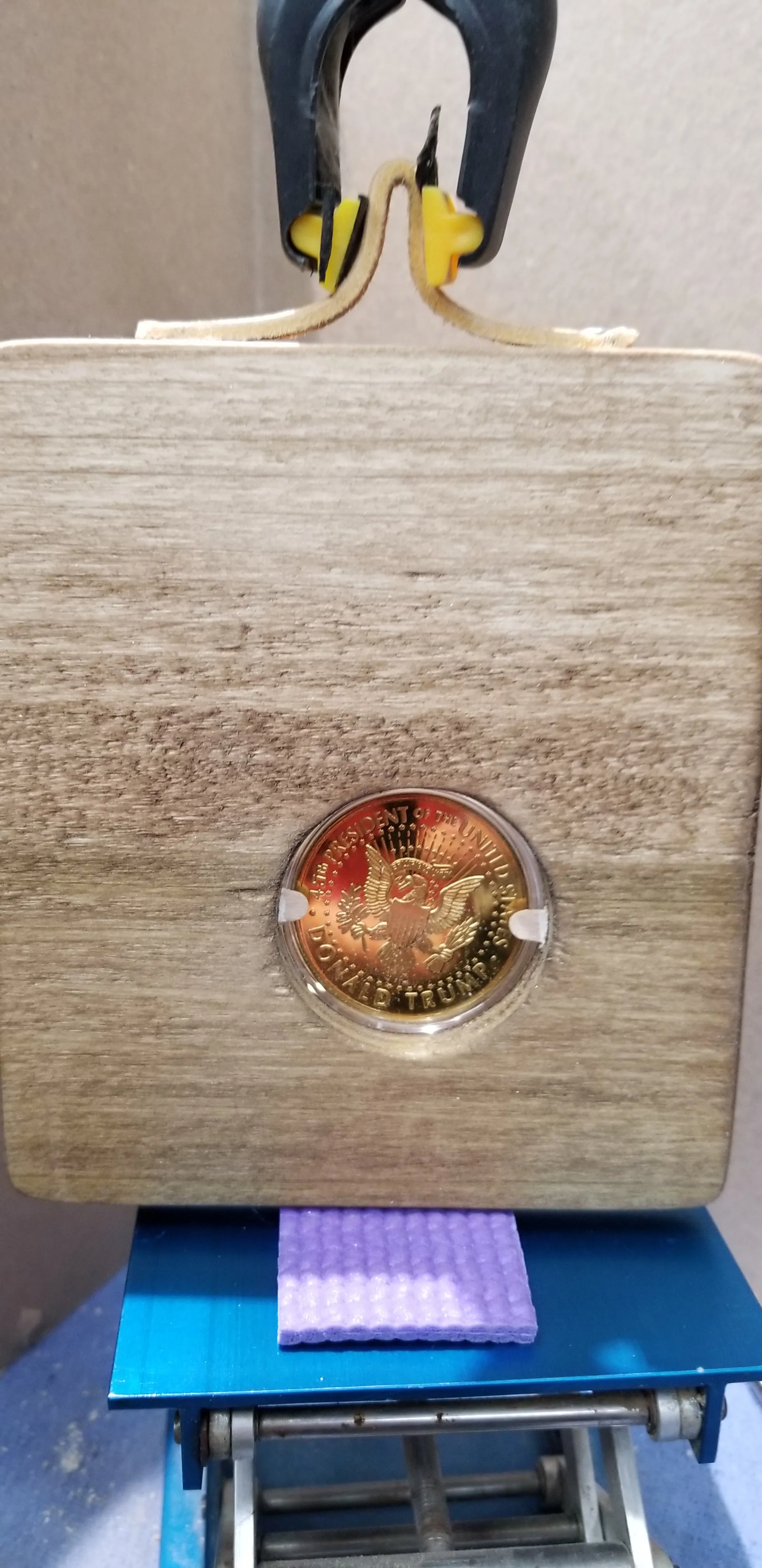 2018 Trump Dollar Gold Collectors Art #2