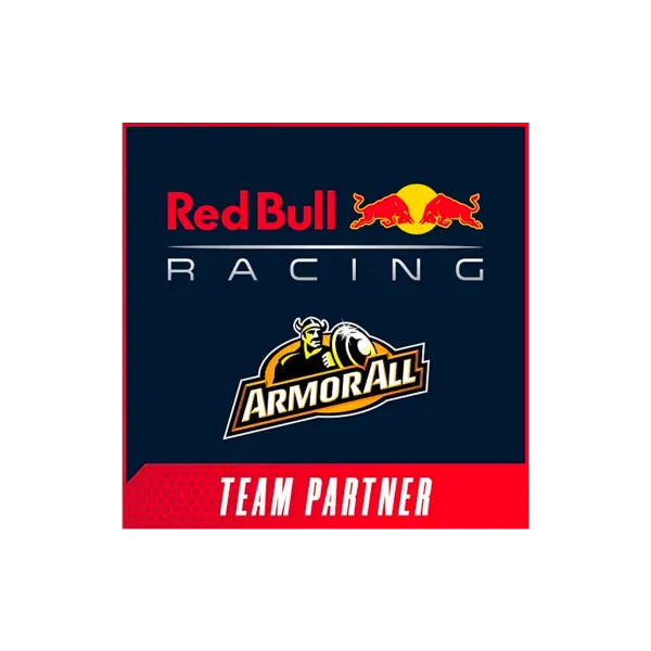 Armor All Stain Remover Foam Cleaner 500ml