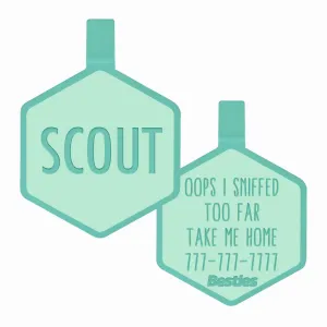 Caribbean Green Silicone ID Tag