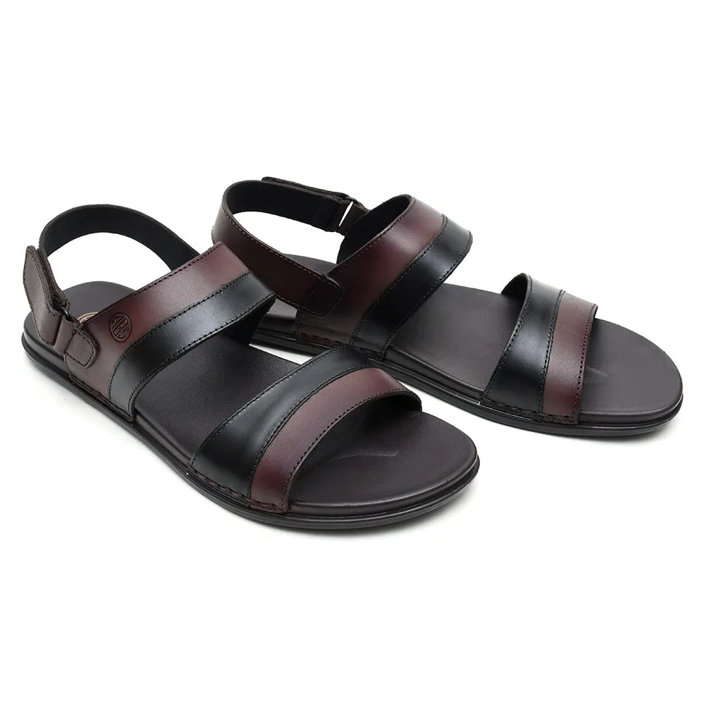 CHM-101 BLACK/BROWN
