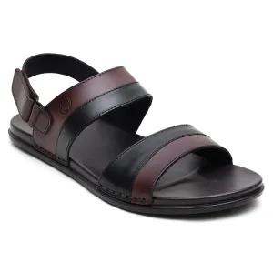 CHM-101 BLACK/BROWN