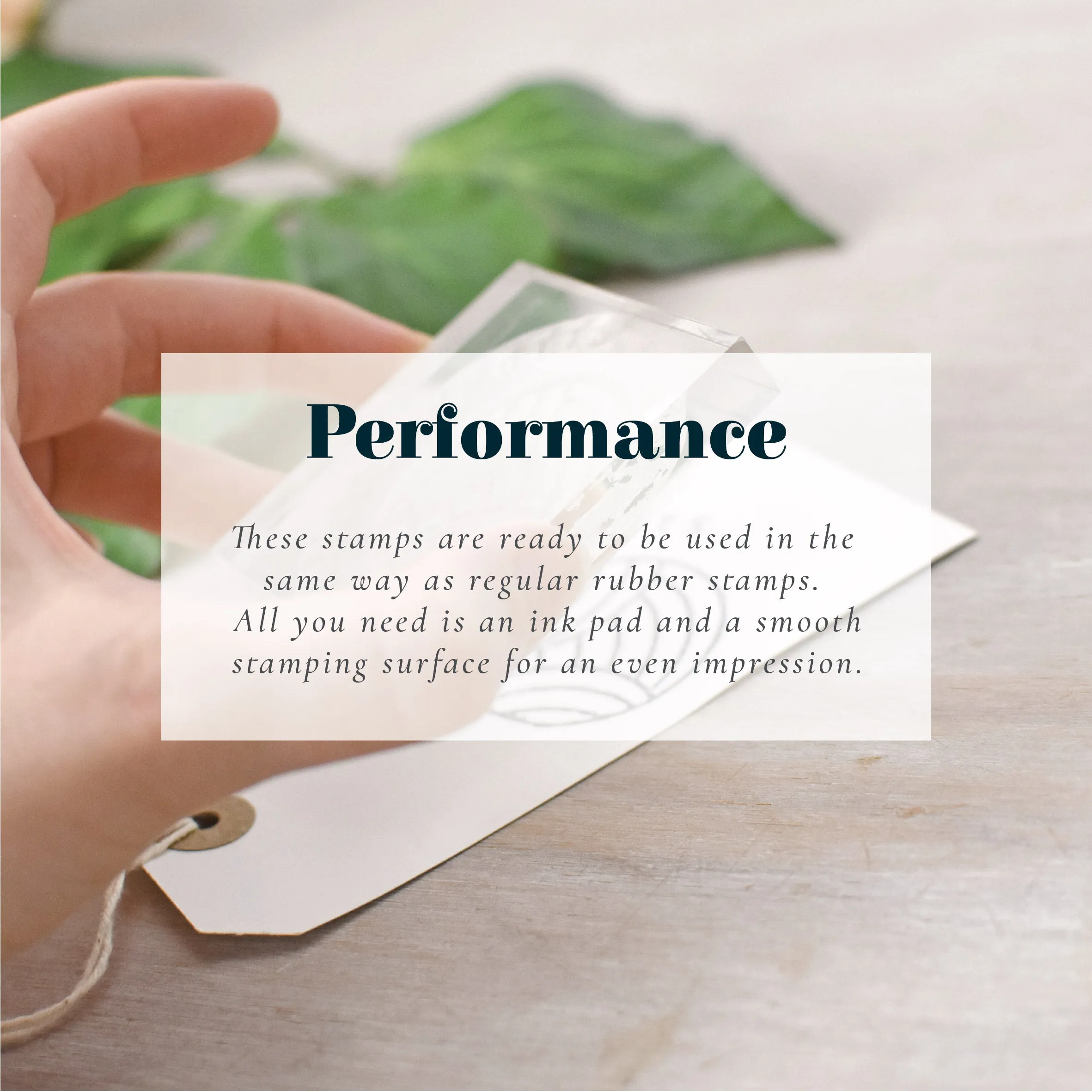 Double Business Card Stamp Set