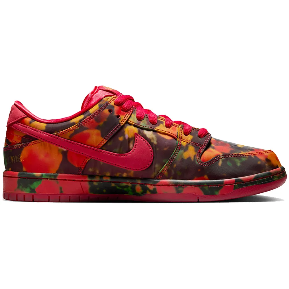 Nike SB Wizard Of Oz Dunk Low Pro Shoes Gym Red/University Red-Multi-Colour
