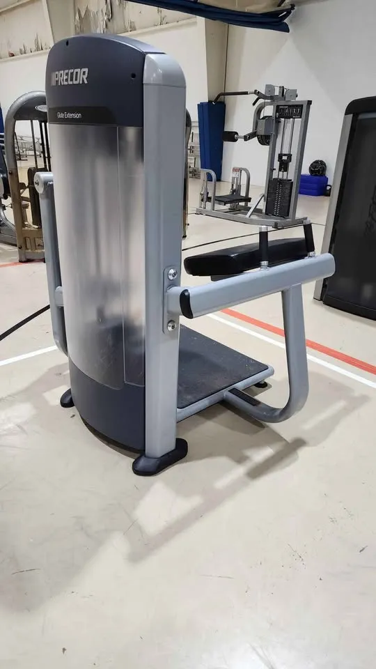 Precor Discovery Glute Extension DSL0618