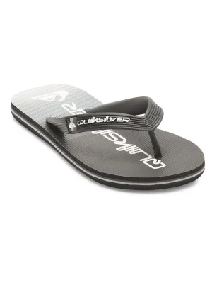 Quiksilver Boys Molokai Art II Flip Flops