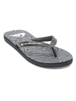 Quiksilver Men's Molokai Art II Flip Flops