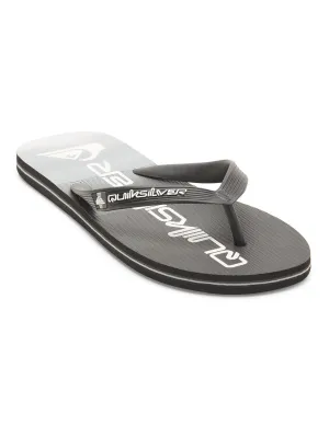 Quiksilver Men's Molokai Stripe Flip Flops