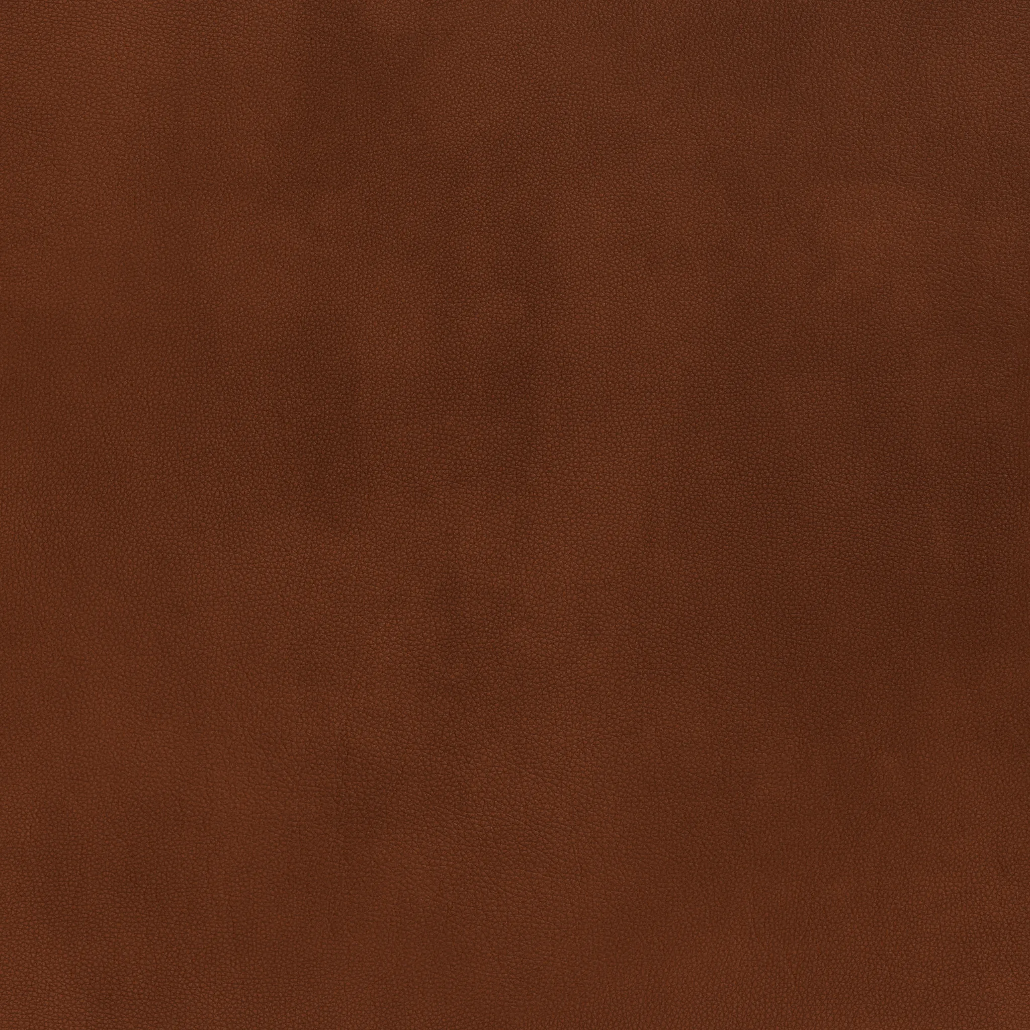 Wallace Leather Raf Chair