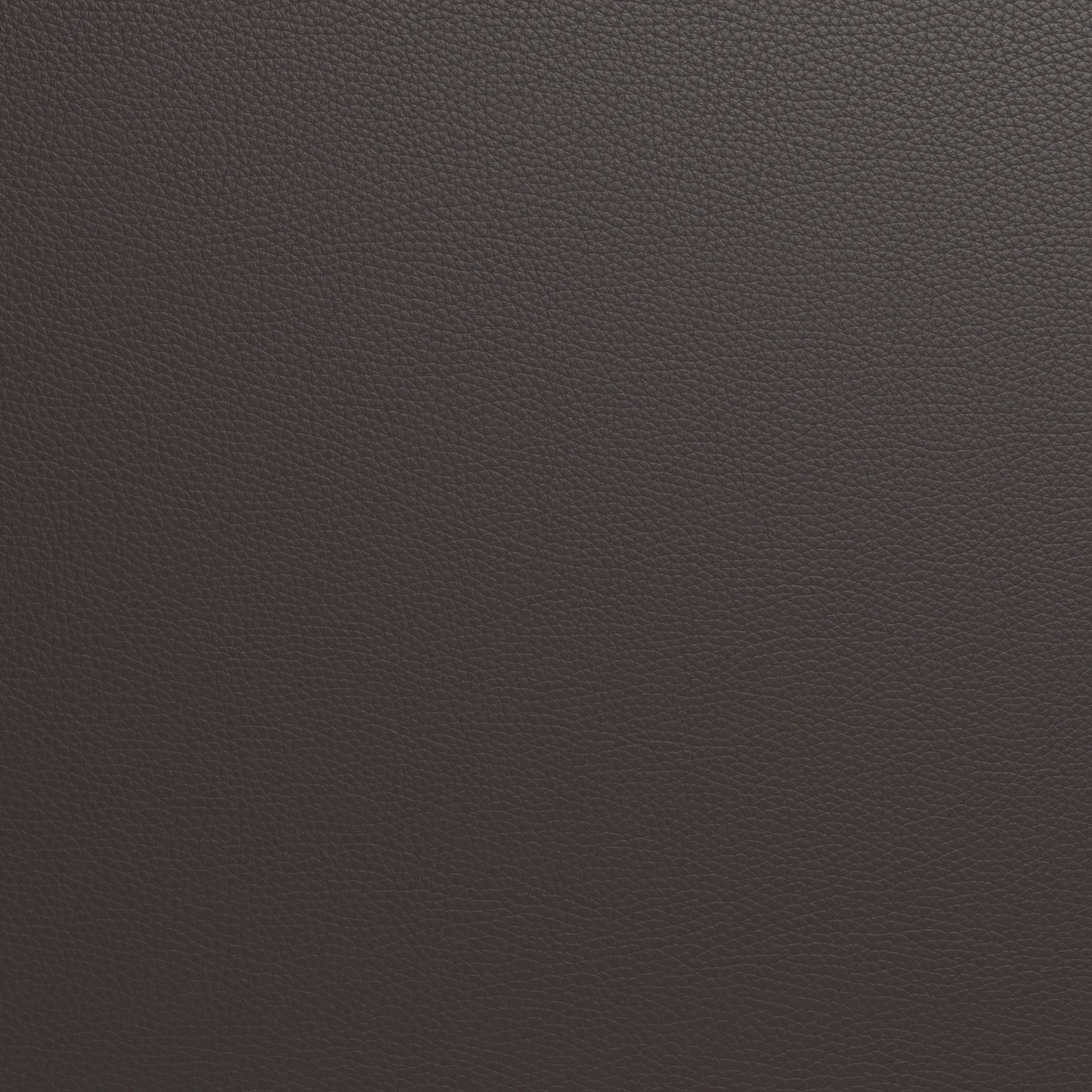 Wallace Leather Raf Chair