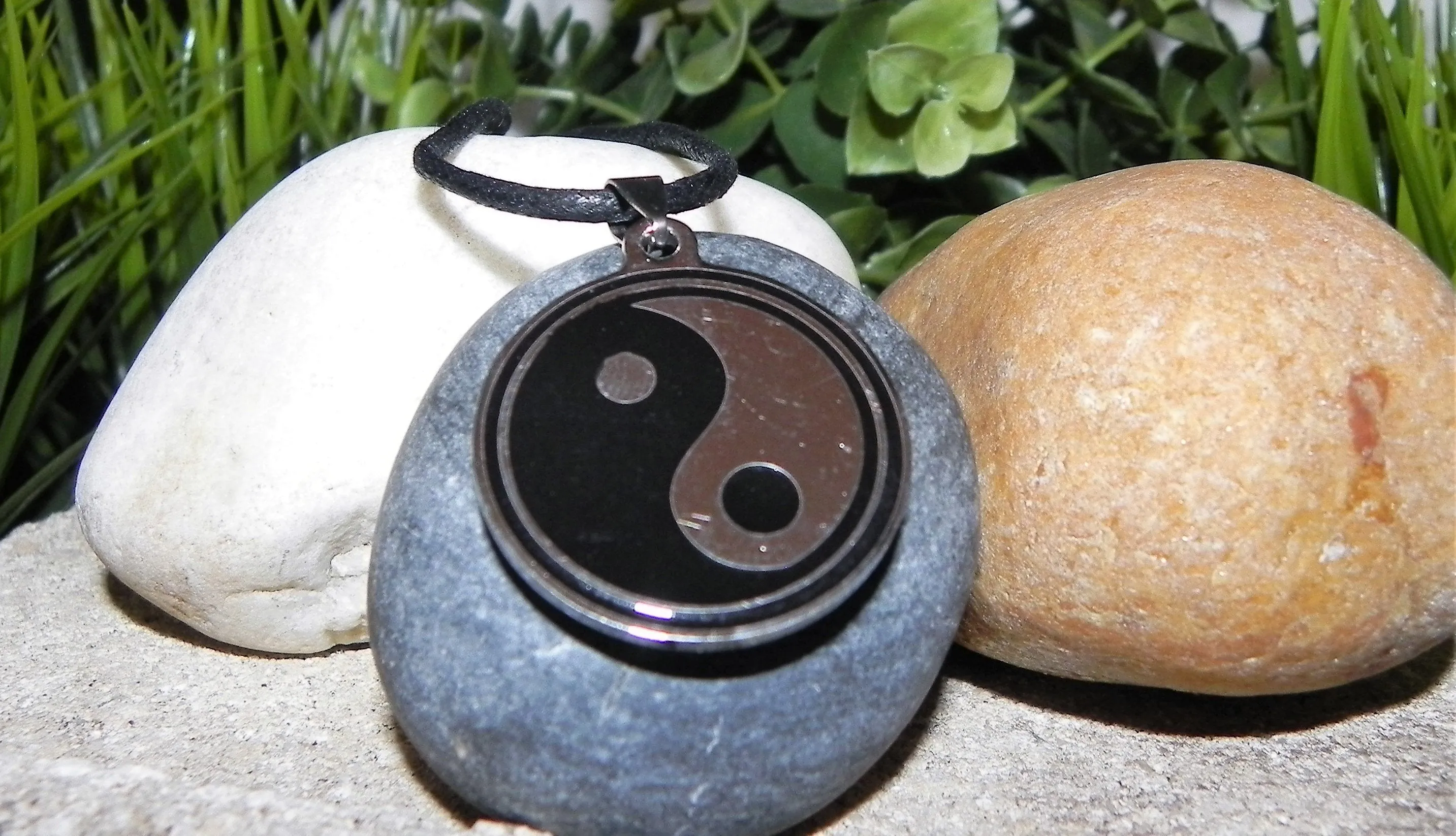 Ying Yang Male