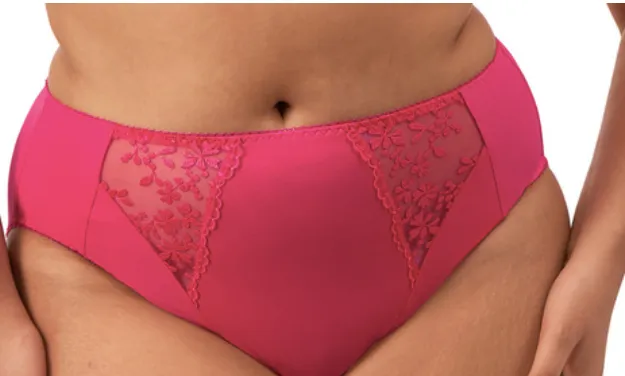 Zarla High Leg Brief EL302553